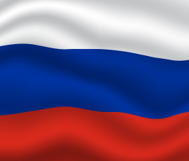 В России продлят срок упрощенного порядка ввоза из-за рубежа